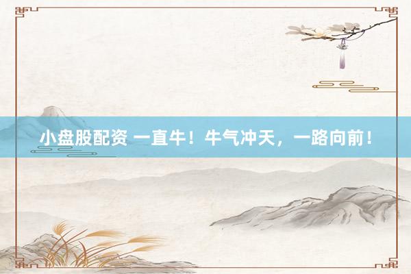 小盘股配资 一直牛！牛气冲天，一路向前！