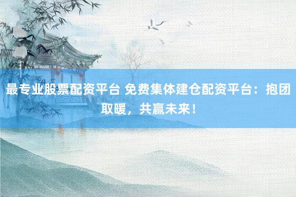 最专业股票配资平台 免费集体建仓配资平台：抱团取暖，共赢未来！