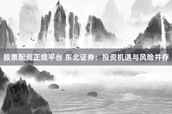 股票配资正规平台 东北证券：投资机遇与风险并存