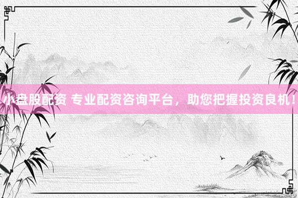小盘股配资 专业配资咨询平台，助您把握投资良机！