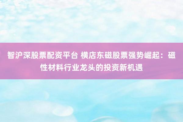 智沪深股票配资平台 横店东磁股票强势崛起：磁性材料行业龙头的投资新机遇