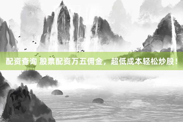 配资查询 股票配资万五佣金，超低成本轻松炒股！