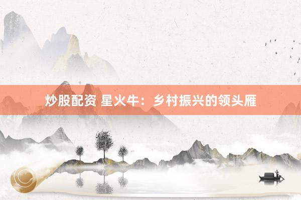炒股配资 星火牛:乡村振兴的领头雁