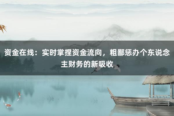 资金在线:实时掌捏资金流向,粗鄙惩办个东说念主财务的新吸收