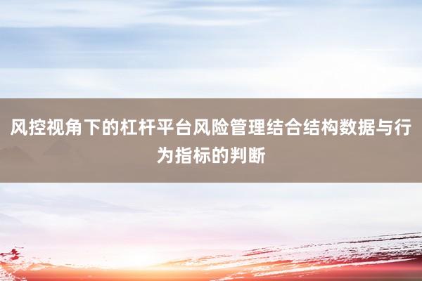 风控视角下的杠杆平台风险管理结合结构数据与行为指标的判断