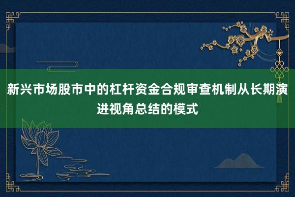新兴市场股市中的杠杆资金合规审查机制从长期演进视角总结的模式