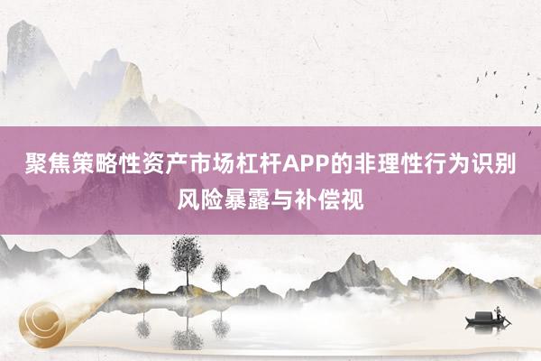 聚焦策略性资产市场杠杆APP的非理性行为识别风险暴露与补偿视