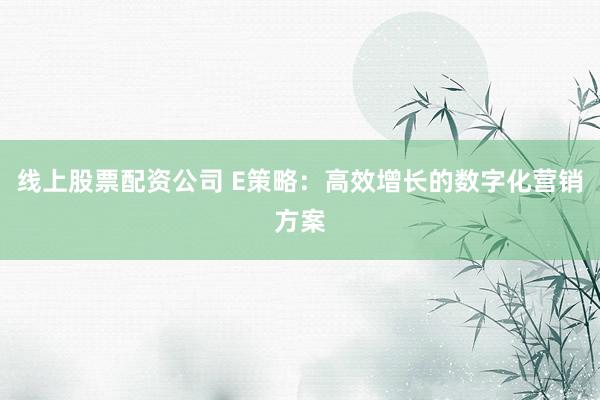 线上股票配资公司 E策略：高效增长的数字化营销方案