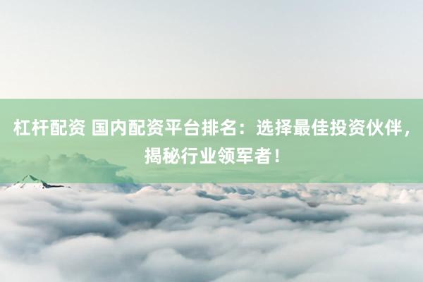 杠杆配资 国内配资平台排名：选择最佳投资伙伴，揭秘行业领军者！