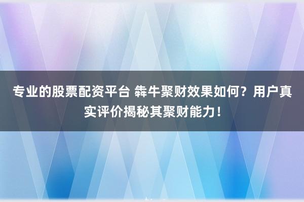 专业的股票配资平台 犇牛聚财效果如何？用户真实评价揭秘其聚财能力！
