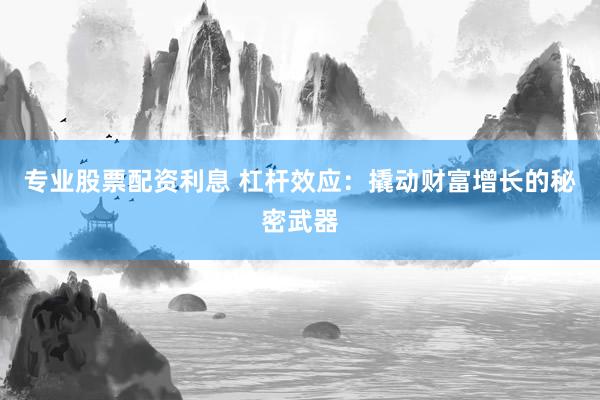 专业股票配资利息 杠杆效应：撬动财富增长的秘密武器
