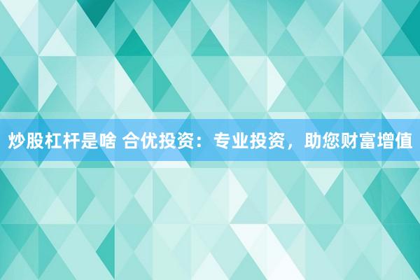 炒股杠杆是啥 合优投资：专业投资，助您财富增值