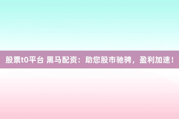 股票t0平台 黑马配资：助您股市驰骋，盈利加速！